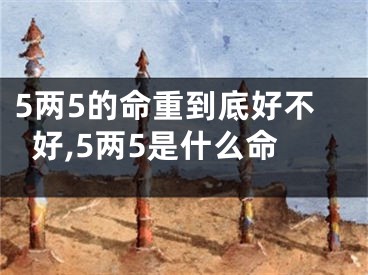 5两5的命重到底好不好,5两5是什么命