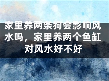 家里养两条狗会影响风水吗，家里养两个鱼缸对风水好不好