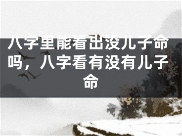 八字里能看出没儿子命吗,八字看有没有儿子命