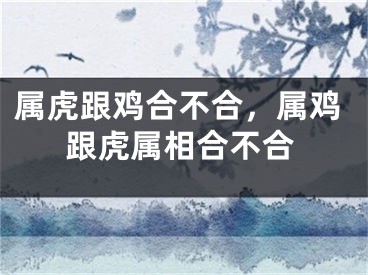 属虎跟鸡合不合，属鸡跟虎属相合不合