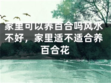 家里可以养百合吗风水不好，家里适不适合养百合花