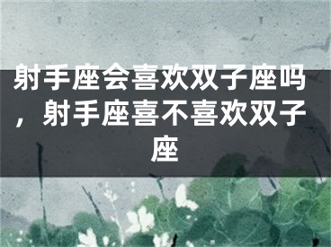 射手座会喜欢双子座吗，射手座喜不喜欢双子座