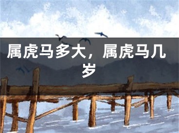 属虎马多大，属虎马几岁