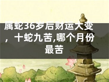 属蛇36岁后财运大变,十蛇九苦,哪个月份最苦