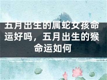 五月出生的属蛇女孩命运好吗，五月出生的猴命运如何