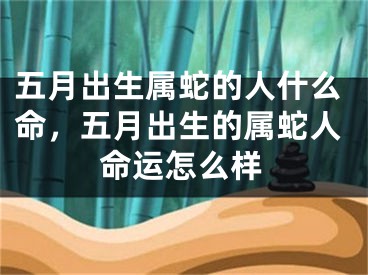 五月出生属蛇的人什么命，五月出生的属蛇人命运怎么样