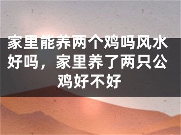 家里能养两个鸡吗风水好吗,家里养了两只公鸡好不好