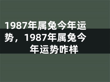 1987年属兔今年运势,1987年属兔今年运势咋样