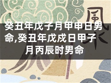 癸丑年戊子月甲申日男命,癸丑年戊戍日甲子月丙辰时男命