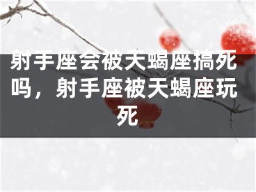 射手座会被天蝎座搞死吗,射手座被天蝎座玩死