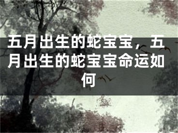 五月出生的蛇宝宝,五月出生的蛇宝宝命运如何