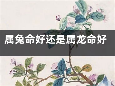 属兔命好还是属龙命好