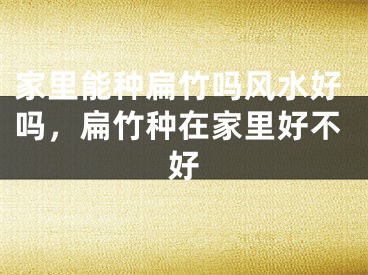 家里能种扁竹吗风水好吗,扁竹种在家里好不好