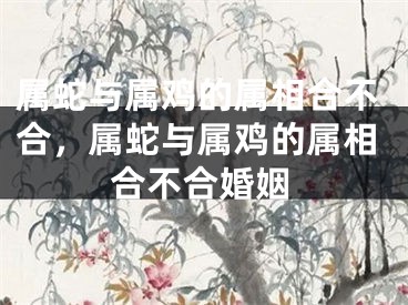 属蛇与属鸡的属相合不合，属蛇与属鸡的属相合不合婚姻
