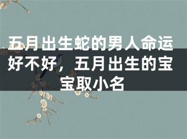五月出生蛇的男人命运好不好,五月出生的宝宝取小名