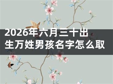 2026年六月三十出生万姓男孩名字怎么取