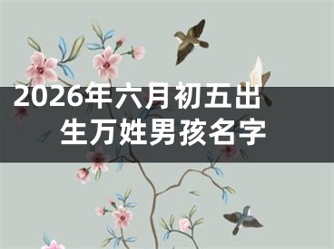 2026年六月初五出生万姓男孩名字