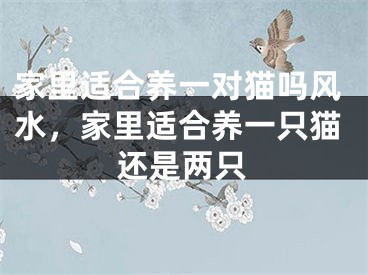 家里适合养一对猫吗风水,家里适合养一只猫还是两只