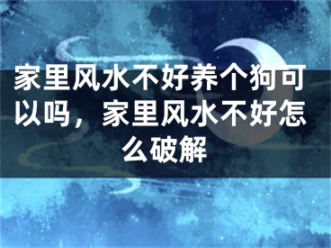 家里风水不好养个狗可以吗，家里风水不好怎么破解