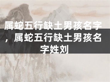 属蛇五行缺土男孩名字，属蛇五行缺土男孩名字姓刘