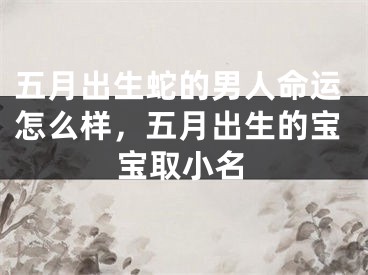 五月出生蛇的男人命运怎么样，五月出生的宝宝取小名
