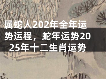 属蛇人202年全年运势运程,蛇年运势2025年十二生肖运势