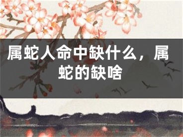 属蛇人命中缺什么,属蛇的缺啥