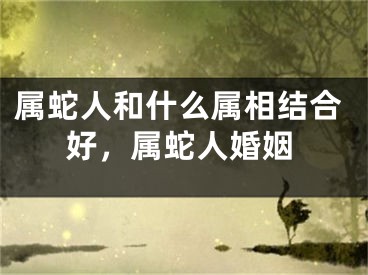 属蛇人和什么属相结合好,属蛇人婚姻