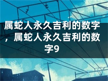 属蛇人永久吉利的数字,属蛇人永久吉利的数字9