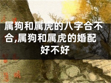 属狗和属虎的八字合不合,属狗和属虎的婚配好不好