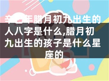 辛巳年腊月初九出生的人八字是什么,腊月初九出生的孩子是什么星座的