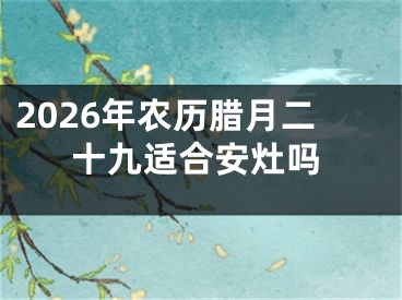 2026年农历腊月二十九适合安灶吗
