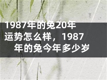 1987年的兔20年运势怎么样,1987年的兔今年多少岁