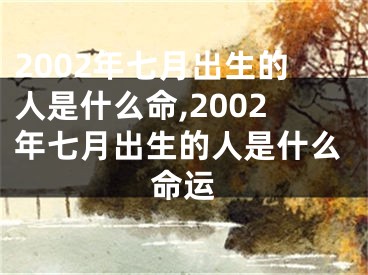 2002年七月出生的人是什么命,2002年七月出生的人是什么命运