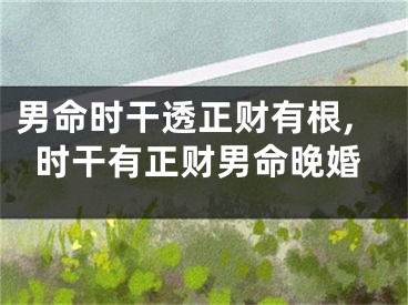 男命时干透正财有根,时干有正财男命晚婚