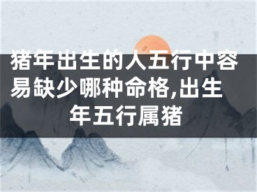 猪年出生的人五行中容易缺少哪种命格,出生年五行属猪