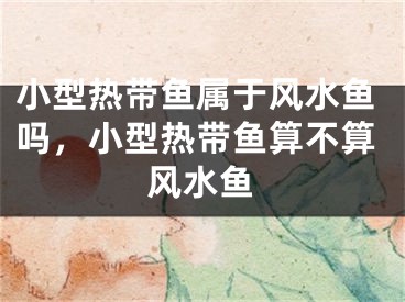 小型热带鱼属于风水鱼吗，小型热带鱼算不算风水鱼