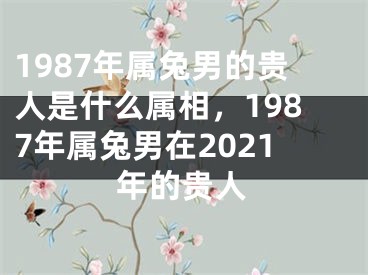 1987年属兔男的贵人是什么属相,1987年属兔男在2021年的贵人
