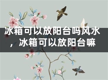 冰箱可以放阳台吗风水,冰箱可以放阳台嘛