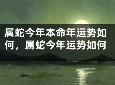 属蛇今年本命年运势如何,属蛇今年运势如何