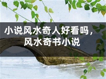 小说风水奇人好看吗，风水奇书小说