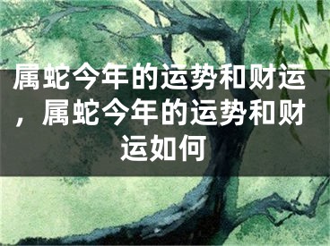 属蛇今年的运势和财运，属蛇今年的运势和财运如何
