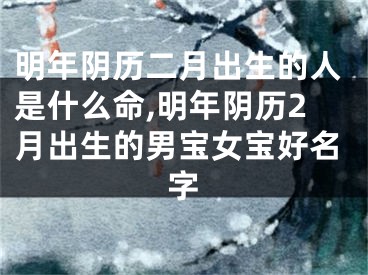 明年阴历二月出生的人是什么命,明年阴历2月出生的男宝女宝好名字