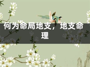 何为命局地支,地支命理