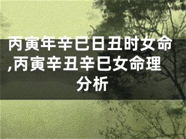 丙寅年辛巳日丑时女命,丙寅辛丑辛巳女命理分析