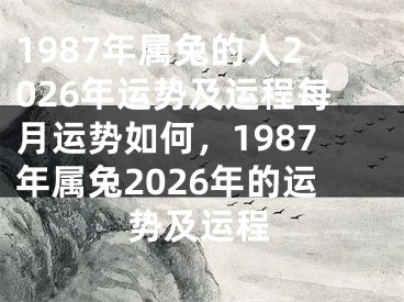 1987年属兔的人2026年运势及运程每月运势如何,1987年属兔2026年的运势及运程