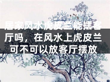 居家风水虎皮兰能摆客厅吗，在风水上虎皮兰可不可以放客厅摆放