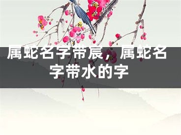 属蛇名字带宸，属蛇名字带水的字