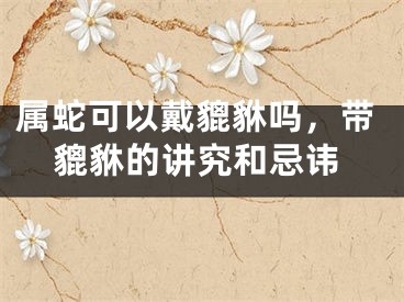 属蛇可以戴貔貅吗，带貔貅的讲究和忌讳