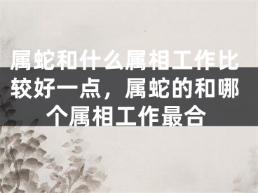 属蛇和什么属相工作比较好一点,属蛇的和哪个属相工作最合